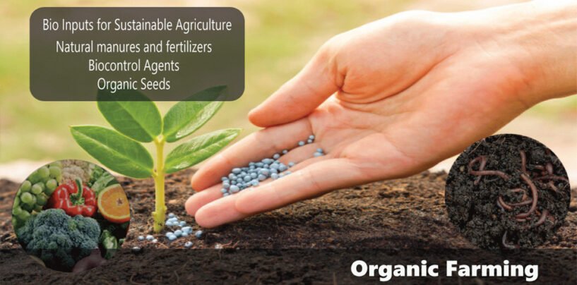 Organic Farming and Bio Inputs is the future