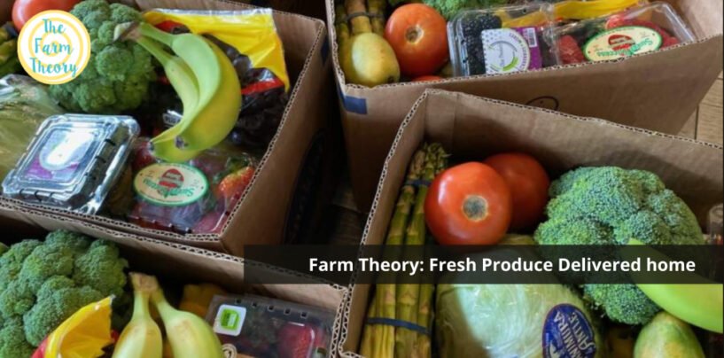 Farm Theory: Farm Fresh produce delivered at your doorstep