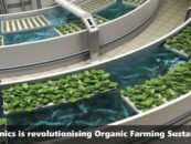 Aquaponics – Improving Organic Farming and Making it More Sustainable