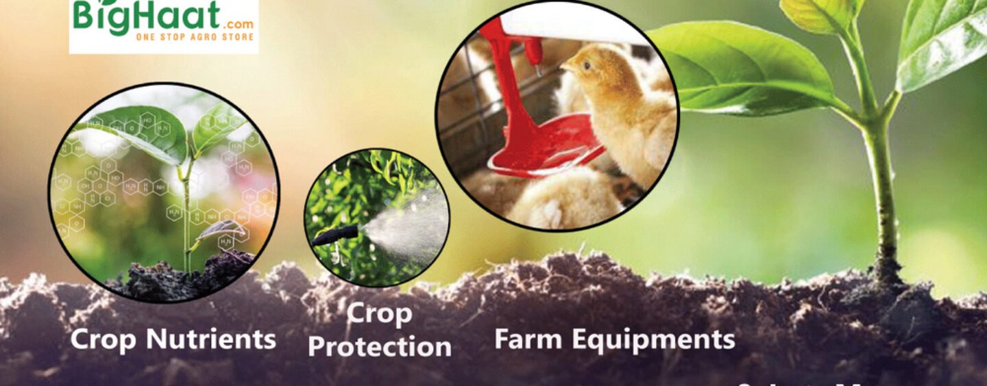 BigHaat: Agriculture now has an E-commerce Portal
