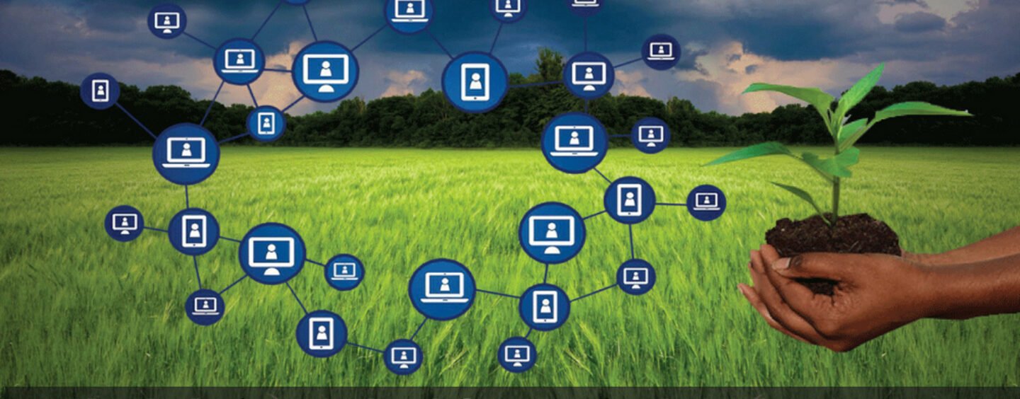 Blockchain technology transforming of Agriculture insurance in India