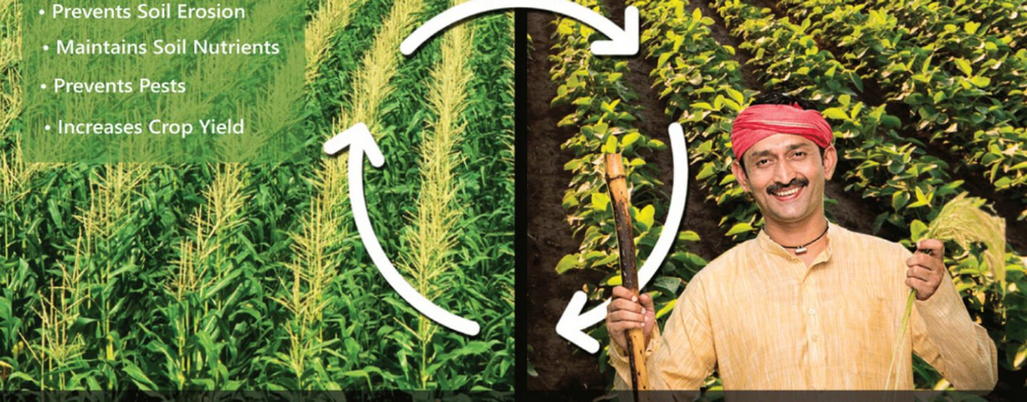 Crop Rotation for transitioning to traditional ways of farming