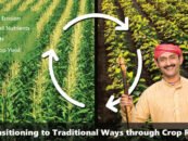 Crop Rotation for transitioning to traditional ways of farming