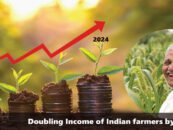 Doubling Income of Small Scale Farmers by 2024