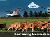 GPS is building Virtual technology boundary for cattle