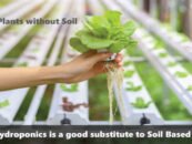 Hydroponics is a good substitute to Soil Based Farming