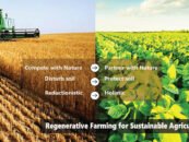 Regenerative Farming is the Path to Sustainable Agriculture