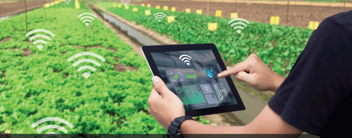 Smart Farming is the future of Agriculture