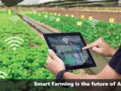 Smart Farming is the future of Agriculture