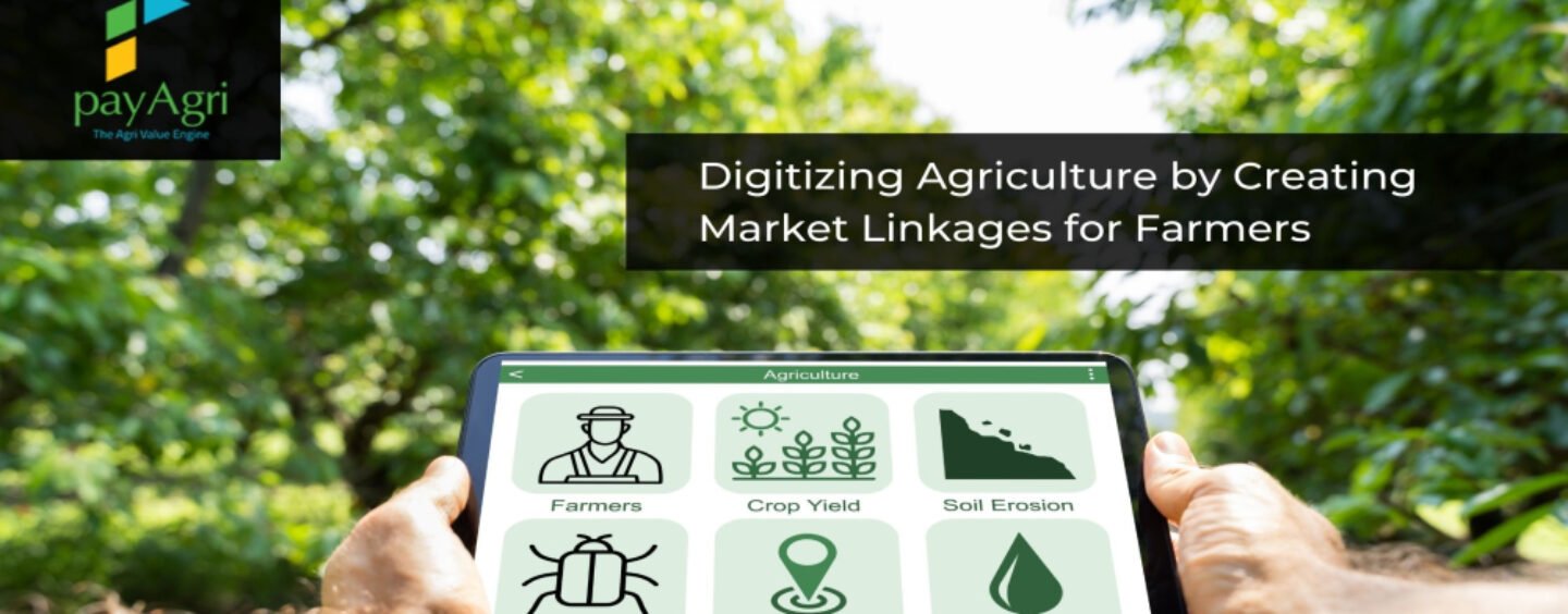 PayAgri: Bridging supply chain and digital transformation gap for farmers