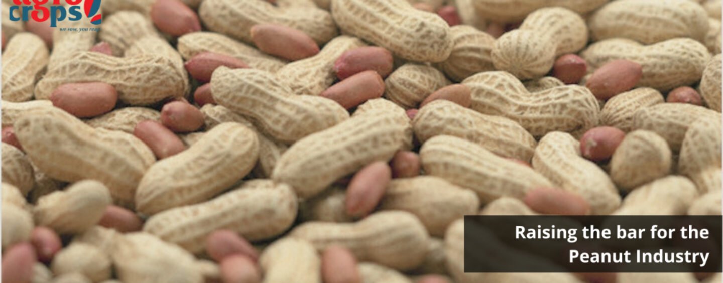 AGROCROP: Raising the bar for the Peanut Industry