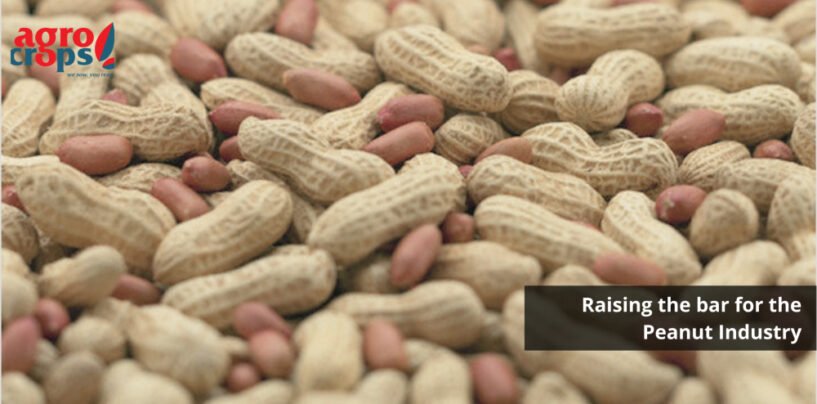 AGROCROP: Raising the bar for the Peanut Industry