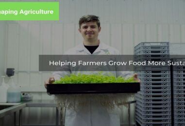 Bayer Crop Science: A Strong Research-driven initiatives in Agriculture