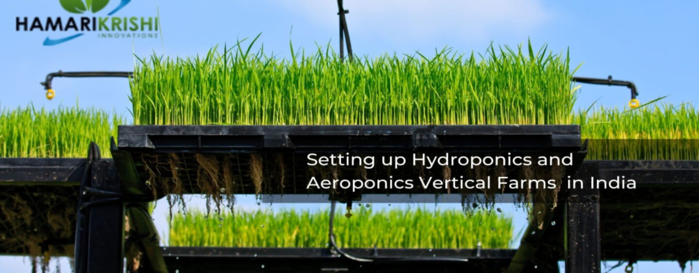 Hamari Krishi Innovations: How to raise Aeroponic and Hydroponic Farms