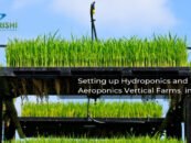 Hamari Krishi Innovations: How to raise Aeroponic and Hydroponic Farms