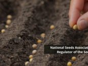 National Seeds Association of India(2007): Regulator of the Seeds Industry