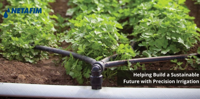 NETAFIM: Helping Build a Sustainable Future with Precision Irrigation