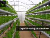 Smur Agro: Knows Organic Farming is the future