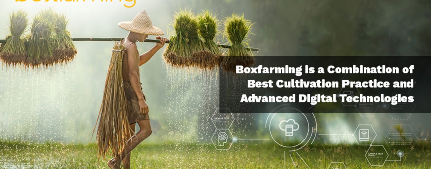 Boxfarming Technologies: The Harnessing of Digital platform to empower farmers