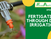 Fertigation through drip irrigation || Episode 11, 2021