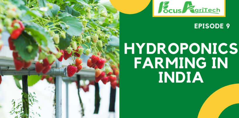 Hydroponics: The Unconventional Way Of Farming II Episode 9, 2021