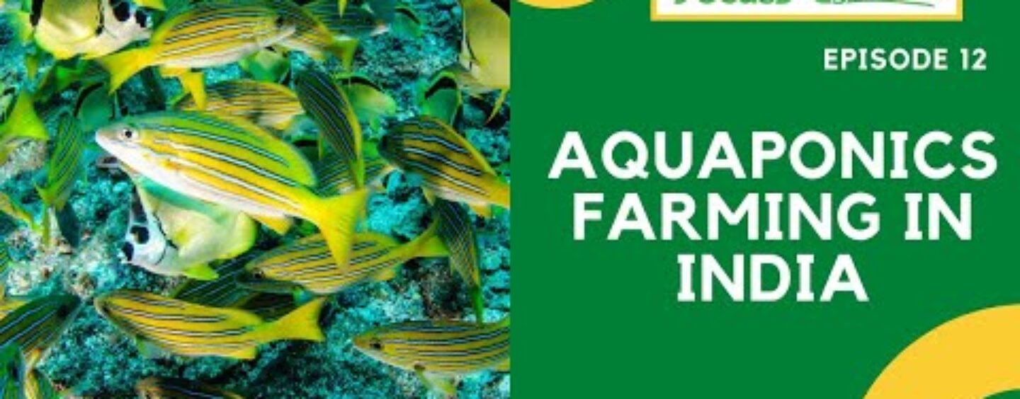 Aquaponics Farming in India || Episode 12, 2021