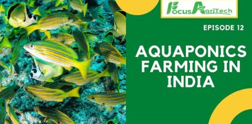 Aquaponics Farming in India || Episode 12, 2021