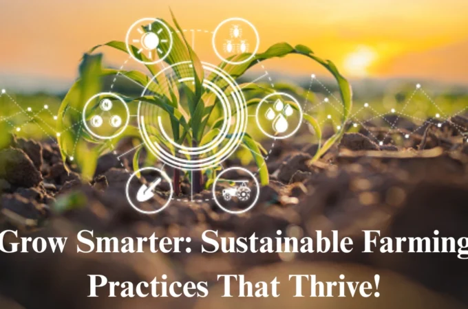 Sustainable Farming Practices: Grow Better with Focus Agritech’s Guide