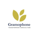 gramophone